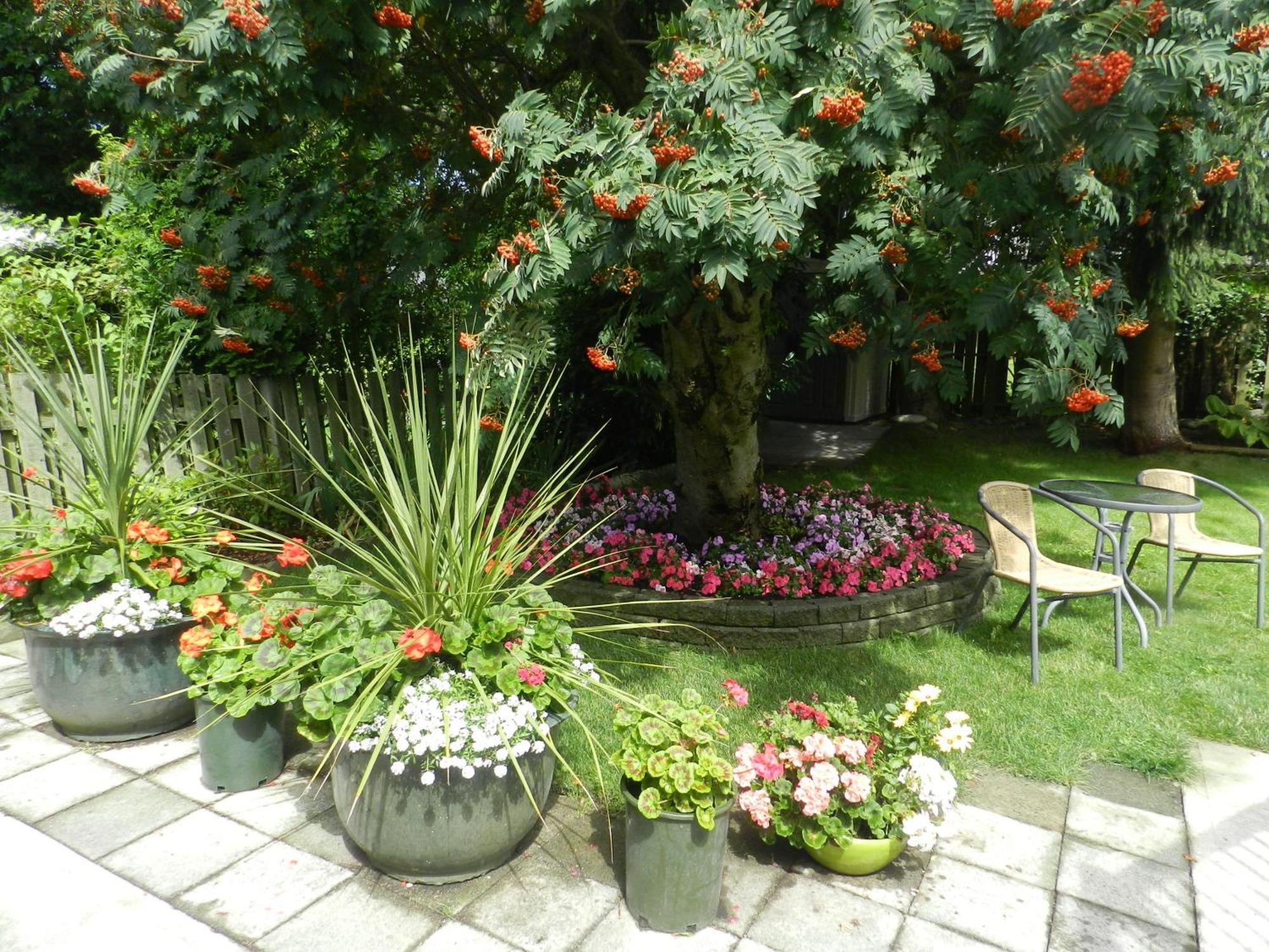Serenity Bed & Breakfast Burnaby Dış mekan fotoğraf
