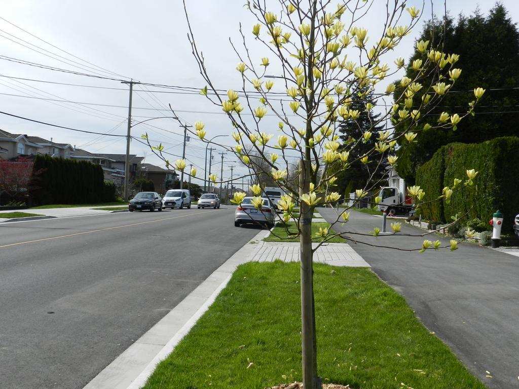 Serenity Bed & Breakfast Burnaby Dış mekan fotoğraf