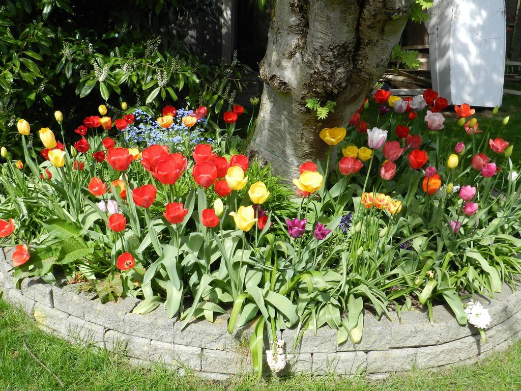 Serenity Bed & Breakfast Burnaby Dış mekan fotoğraf