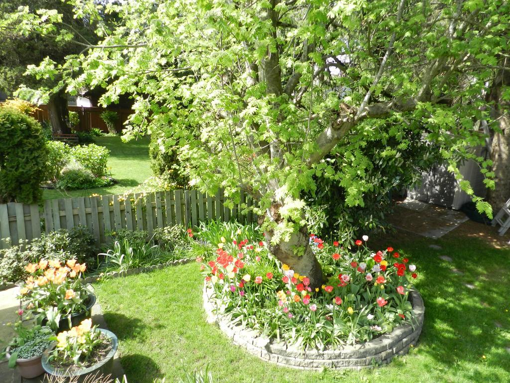 Serenity Bed & Breakfast Burnaby Dış mekan fotoğraf