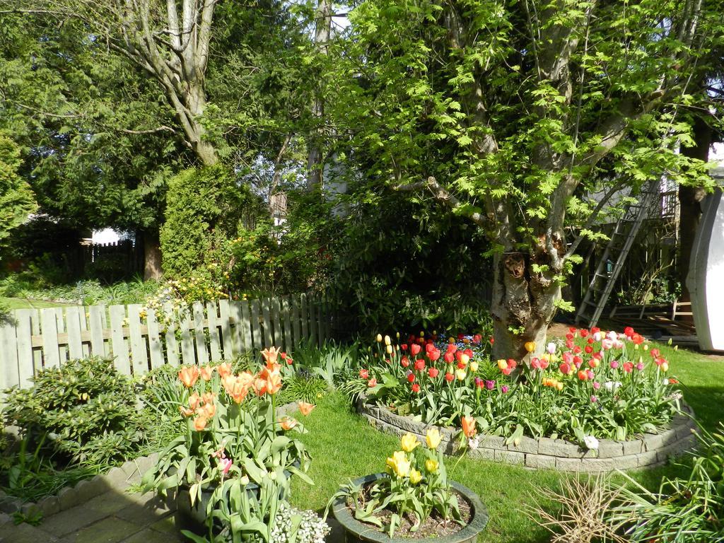 Serenity Bed & Breakfast Burnaby Dış mekan fotoğraf