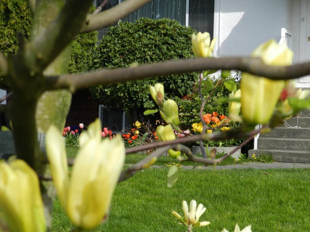 Serenity Bed & Breakfast Burnaby Dış mekan fotoğraf