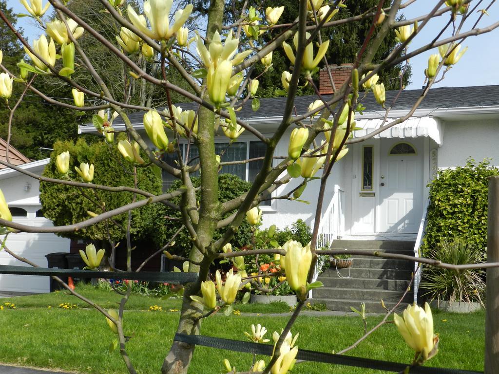 Serenity Bed & Breakfast Burnaby Dış mekan fotoğraf