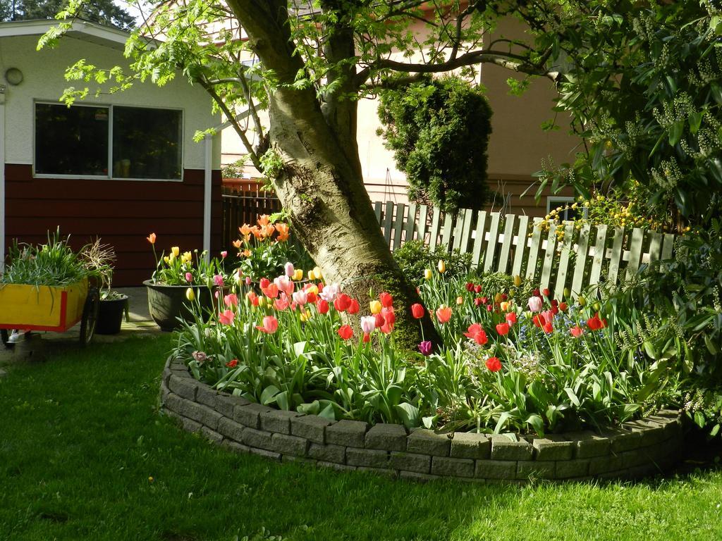 Serenity Bed & Breakfast Burnaby Dış mekan fotoğraf