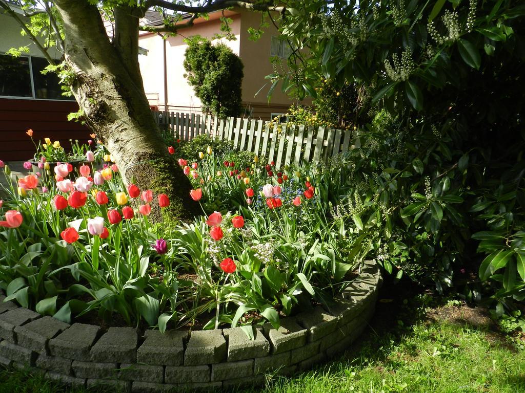 Serenity Bed & Breakfast Burnaby Dış mekan fotoğraf