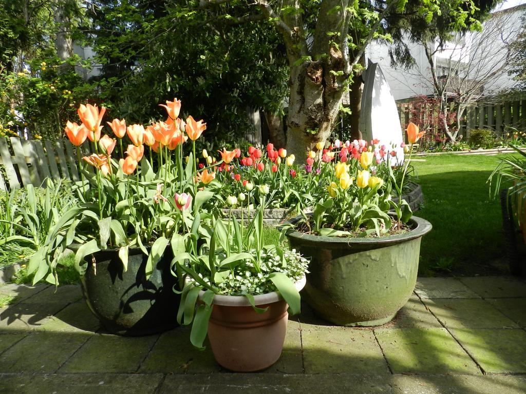 Serenity Bed & Breakfast Burnaby Dış mekan fotoğraf